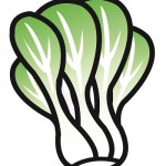 チンゲン菜の栄養を損なわない食べ方は炒め？おひたし？保存期間は？