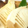 たけのこのあくに含まれる成分と影響！害が出ないあく抜き方法や時間は？