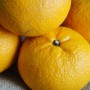 はっさくの皮なしジャムの作り方！レンジや圧力鍋でより簡単に！
